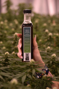 High Peaks Hemp - Hemp Extract Infused Olive Oil Marketing Image